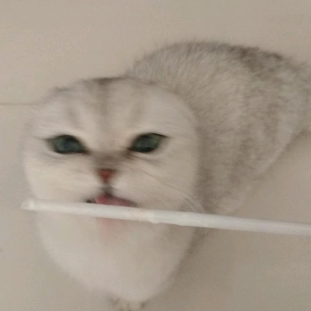 一路阳光