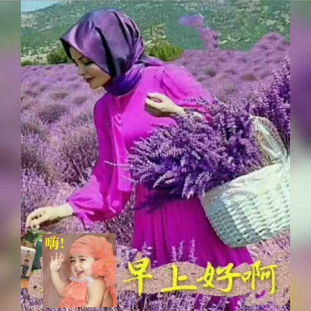 惠恵🎀