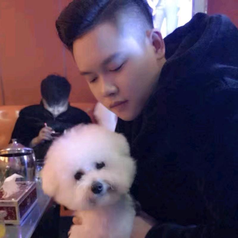 李哥不睡觉