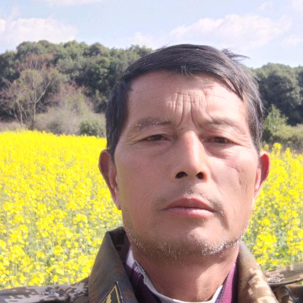 扬生根
