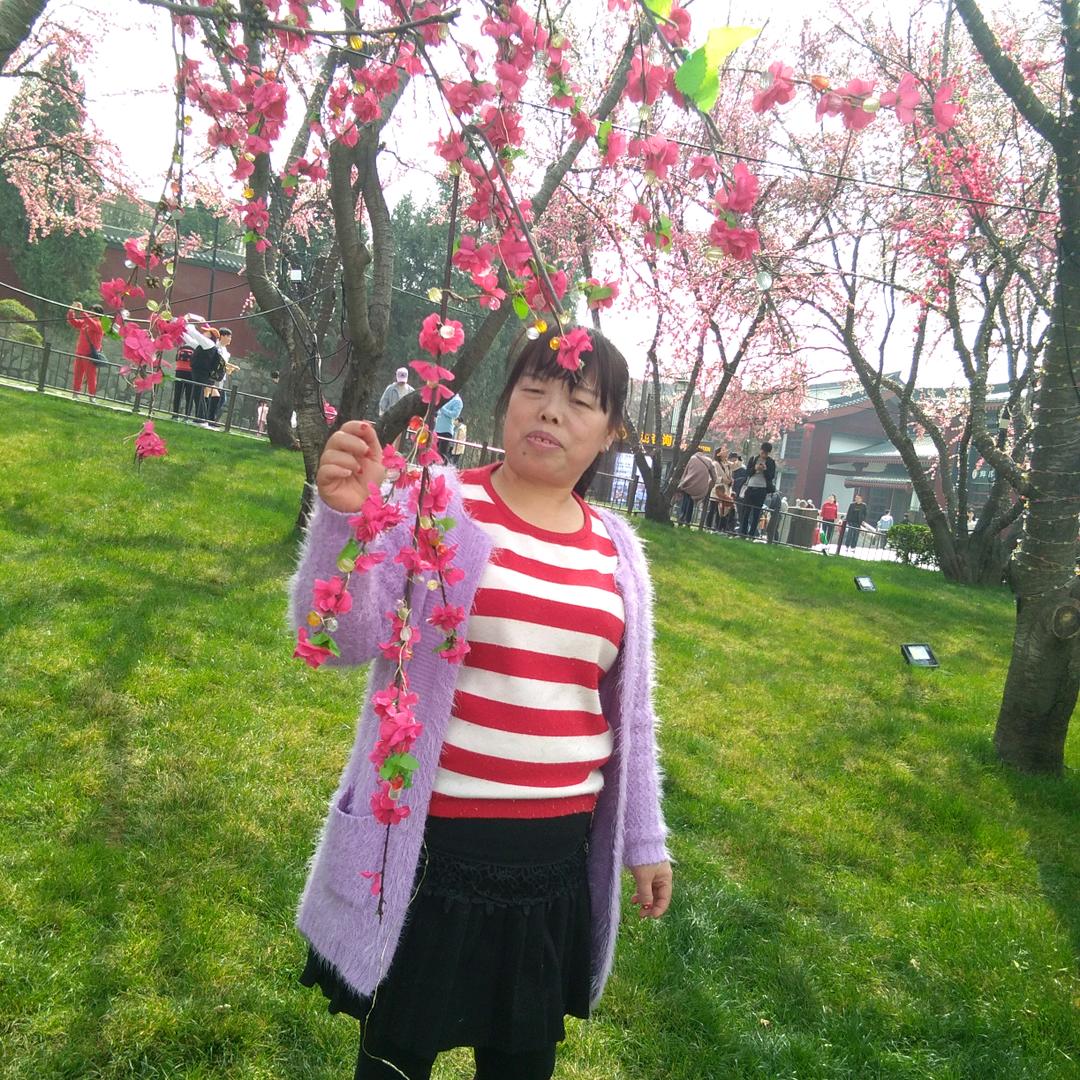兰花草