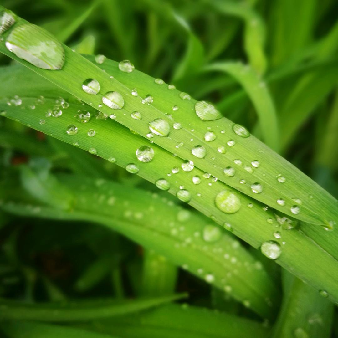 风诗雨赋
