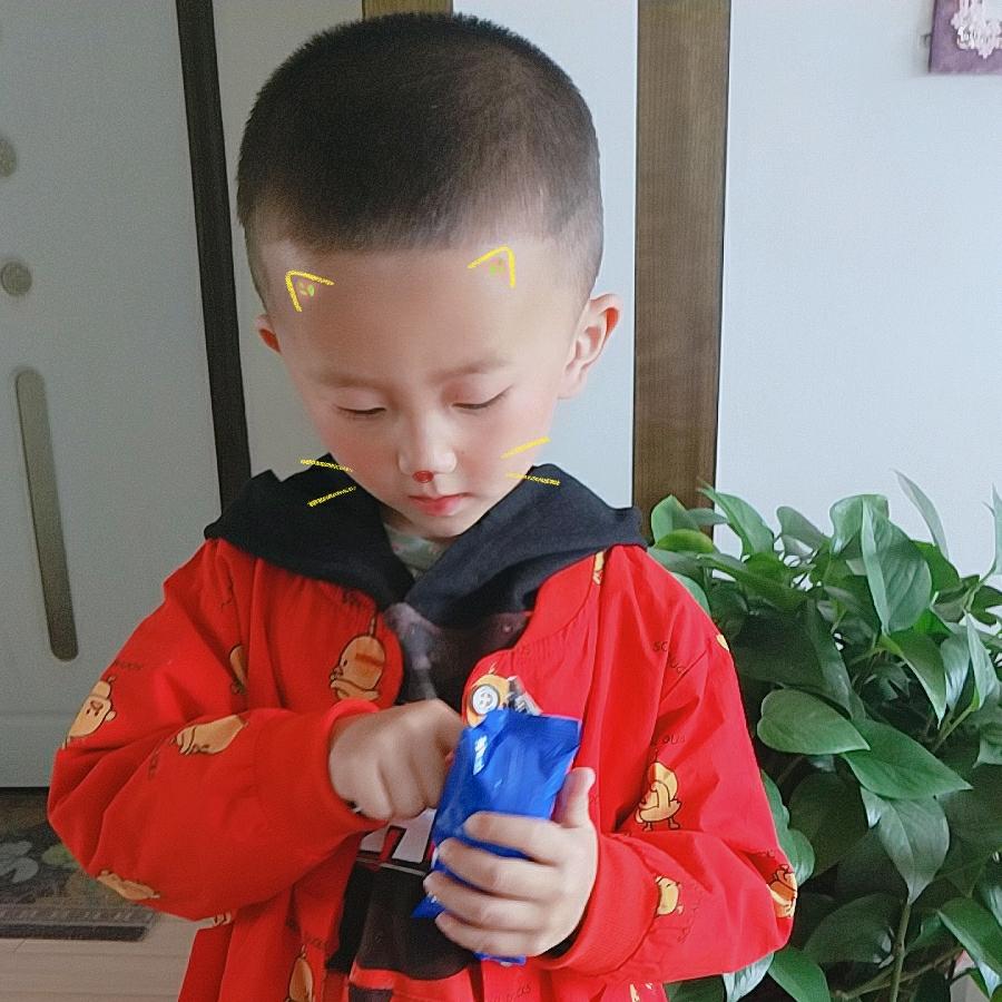 麦田里的守望者