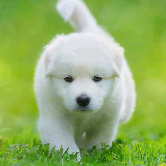 我本善良拒绝私聊