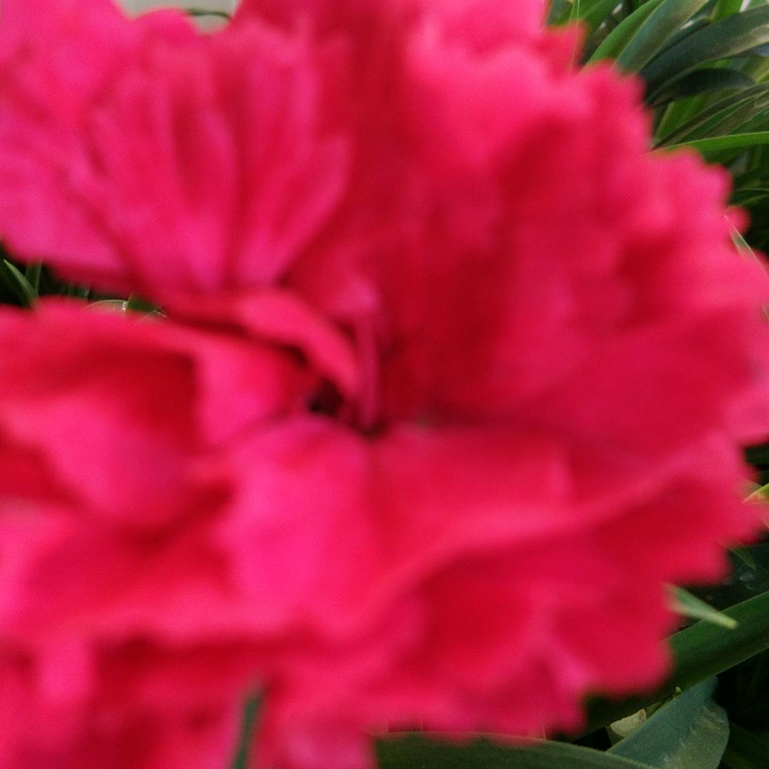 爱谁不如爱自己