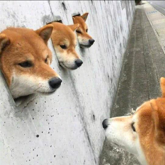 喜欢自由