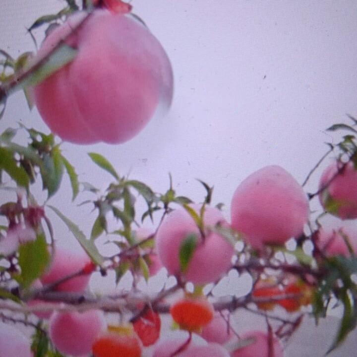 好心人
