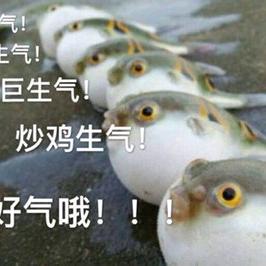 鳌拜的哥哥熬夜