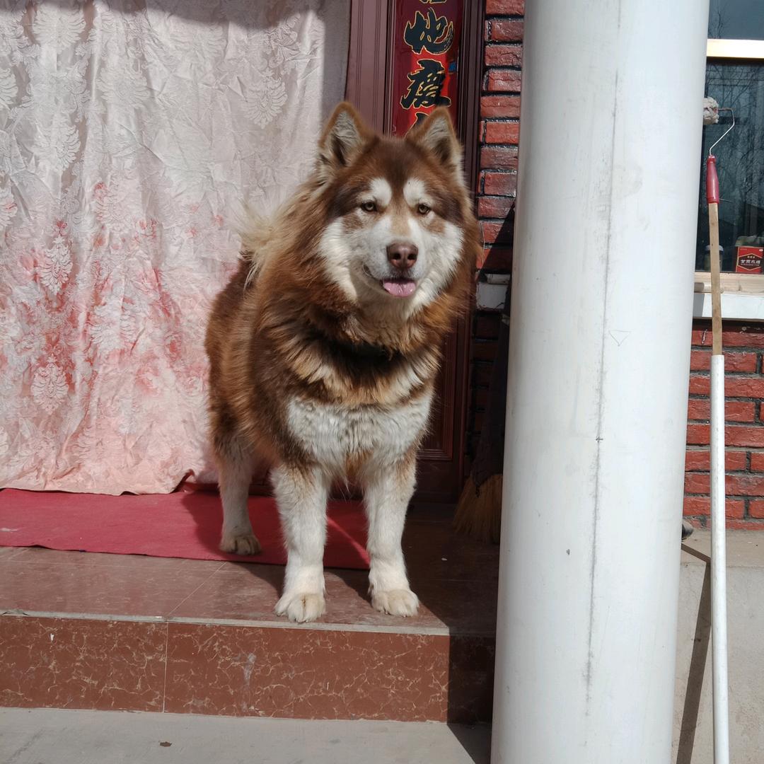 (丰余年)清汤羊肉馆