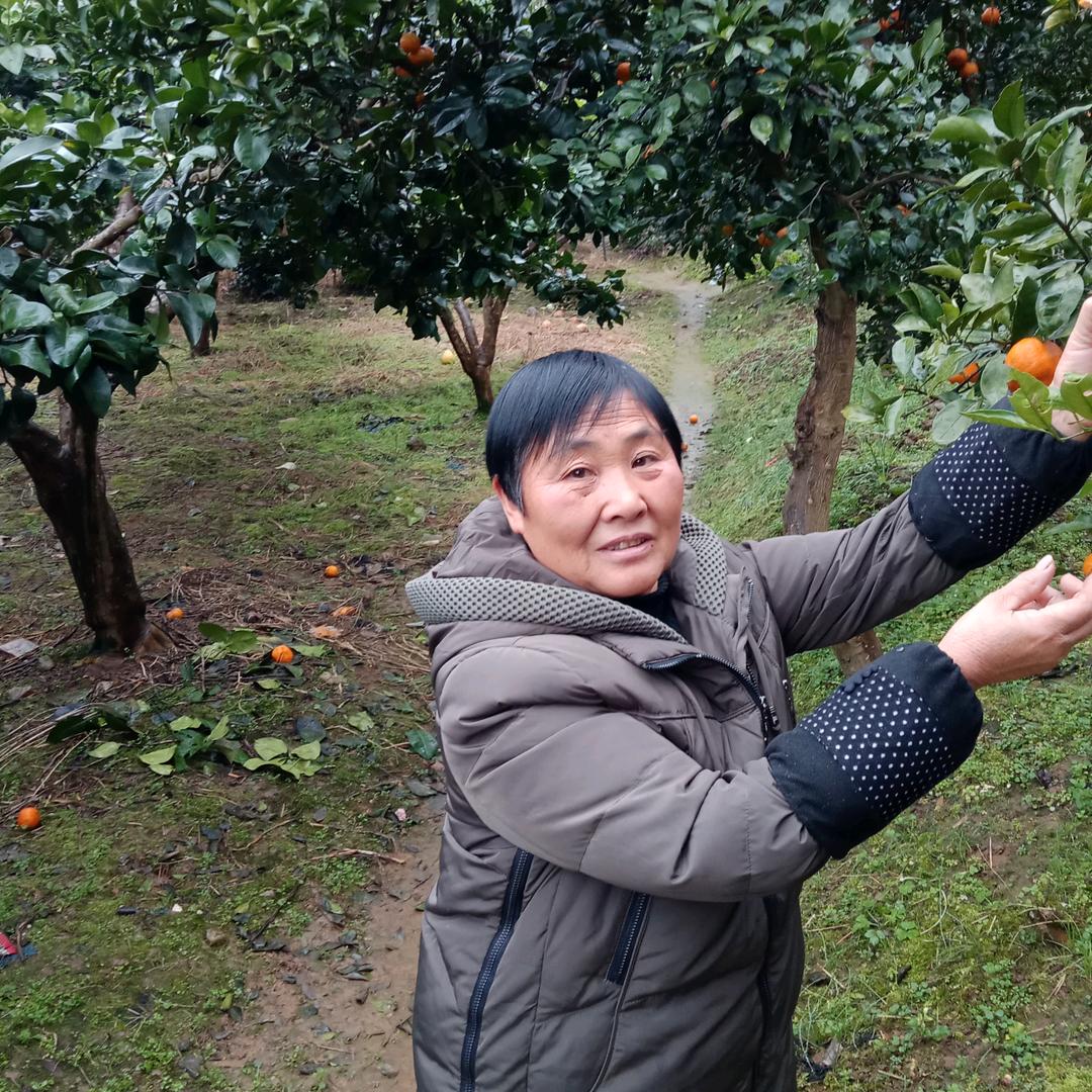 向幺妹晚上8：00—10：00首播