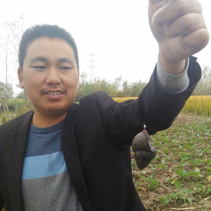 钓鱼李维