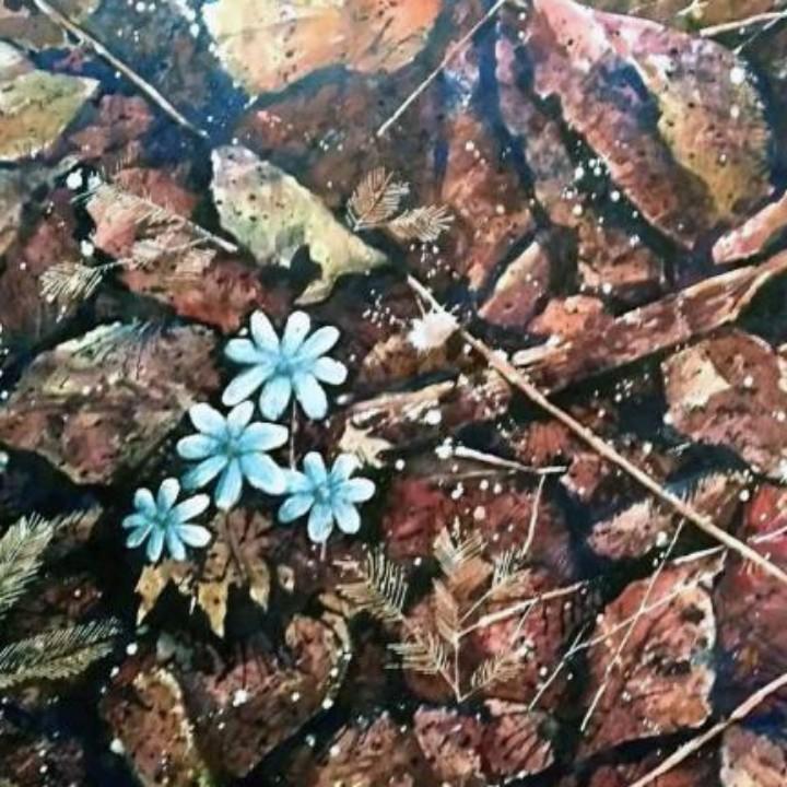 凭栏远眺水彩画世界