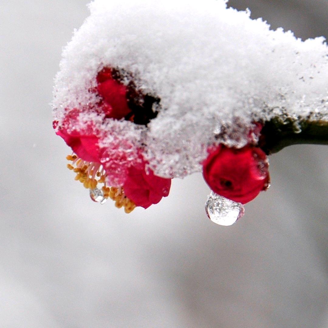 （寒🌹潍坊银座美得琳之女装）寒🌹