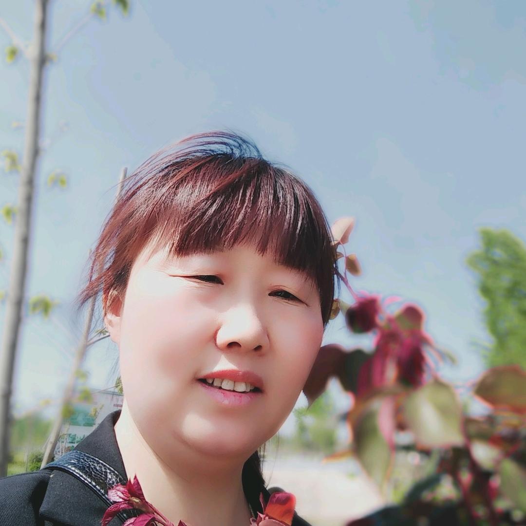 饿了pls你村投币多肉运气