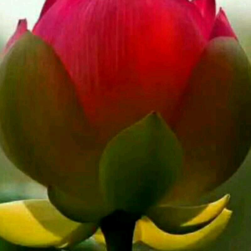 努力向钱看🙌👏🙏