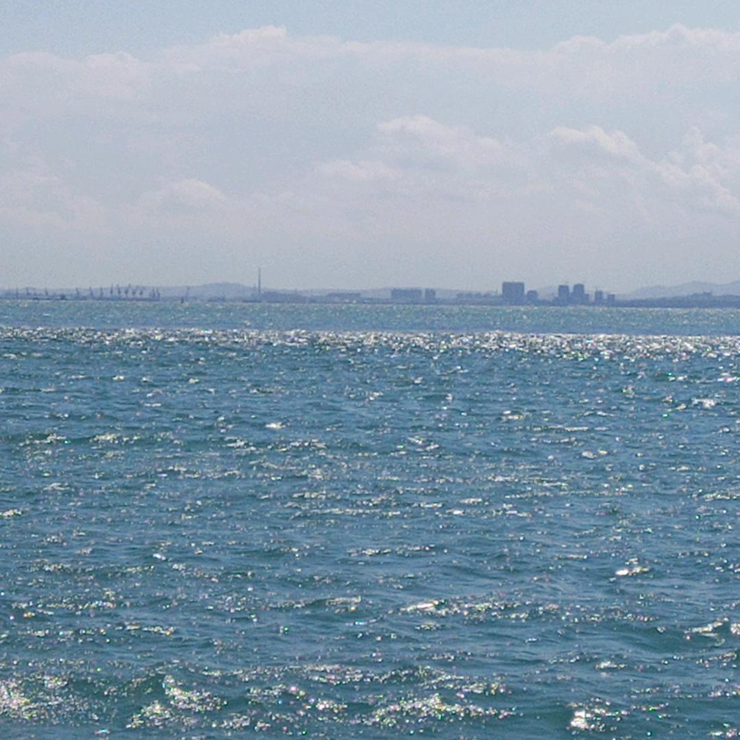 海