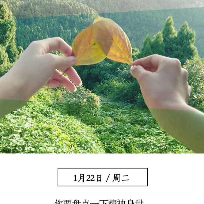 用户2004843522795上善若水