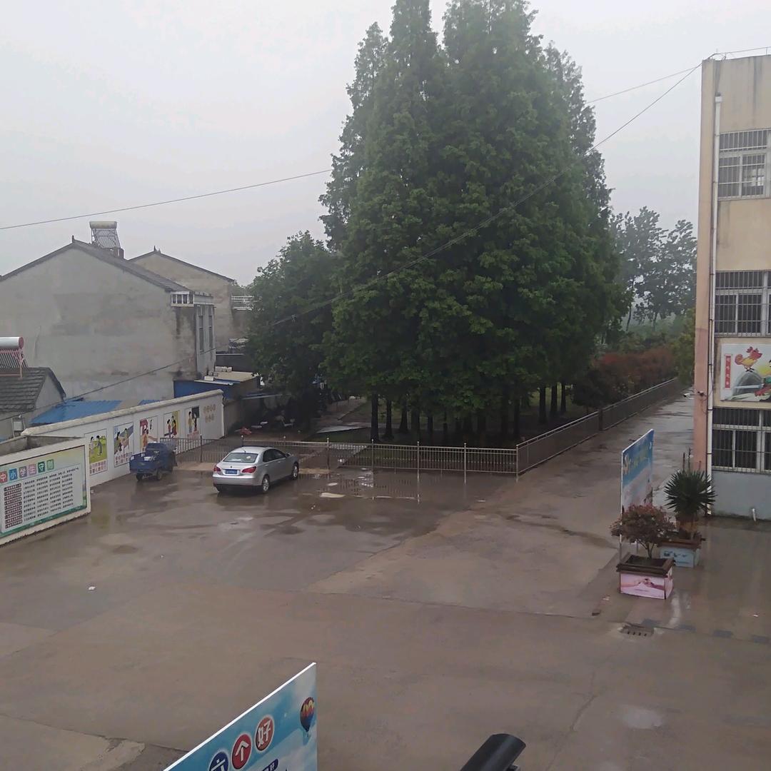 真诚
