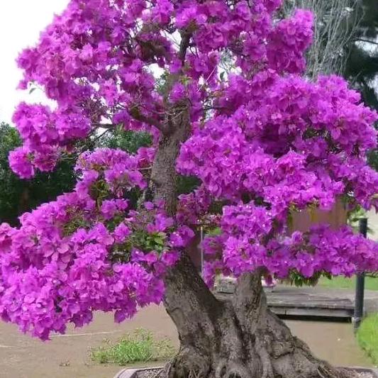 刚好遇见你！！！！