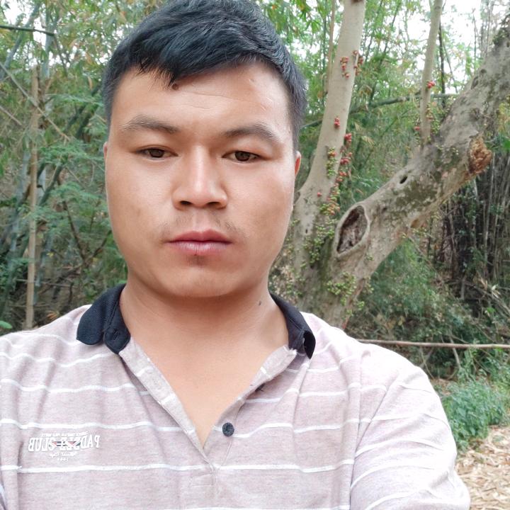 传孝