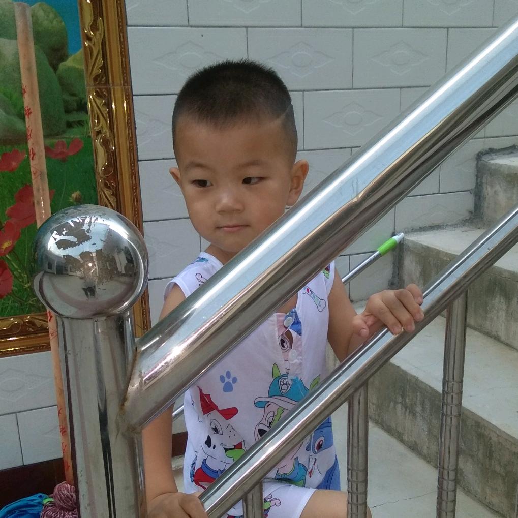 贝贝