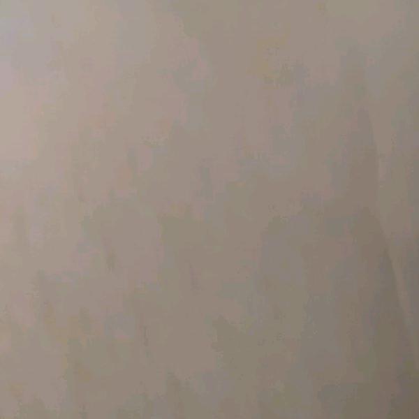 倾心