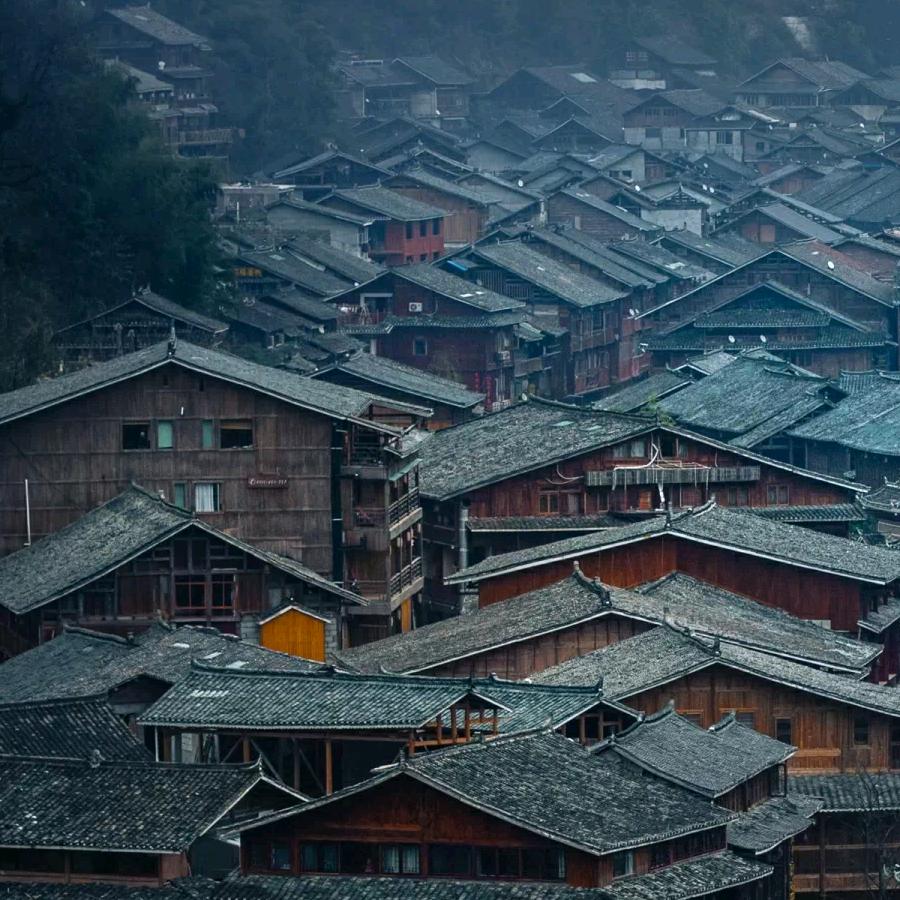 如是雨林