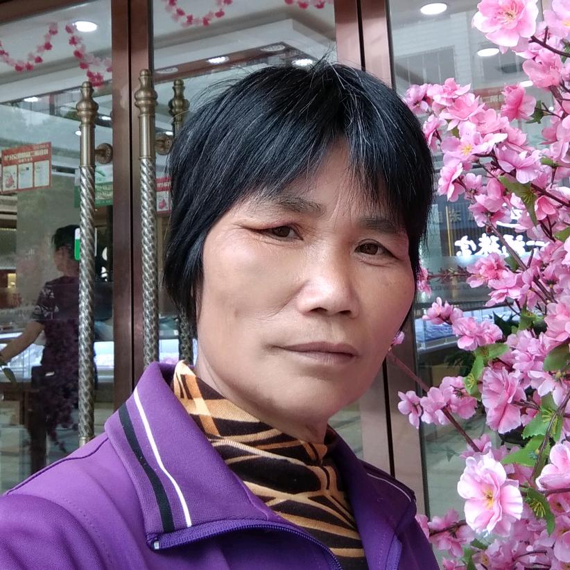 车之行