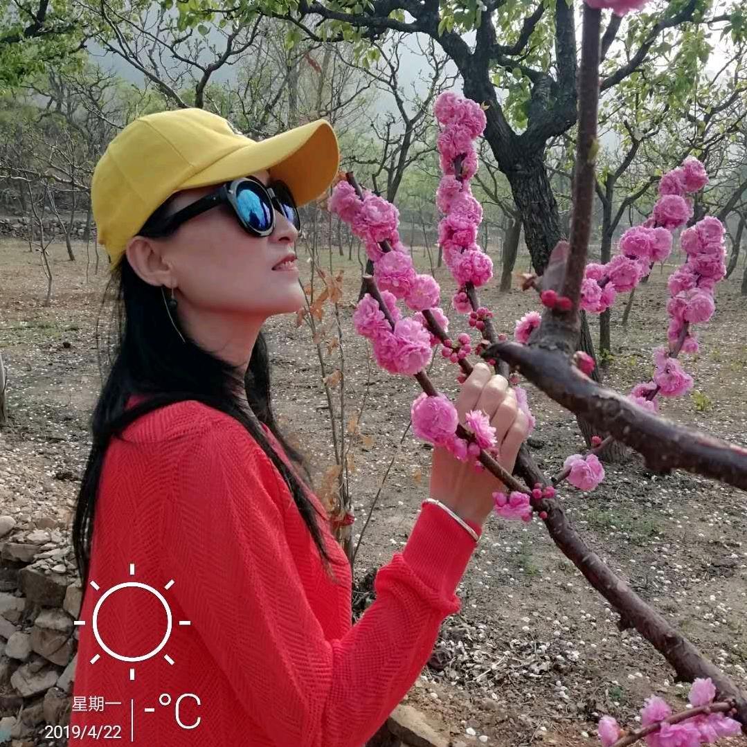 小紫藤