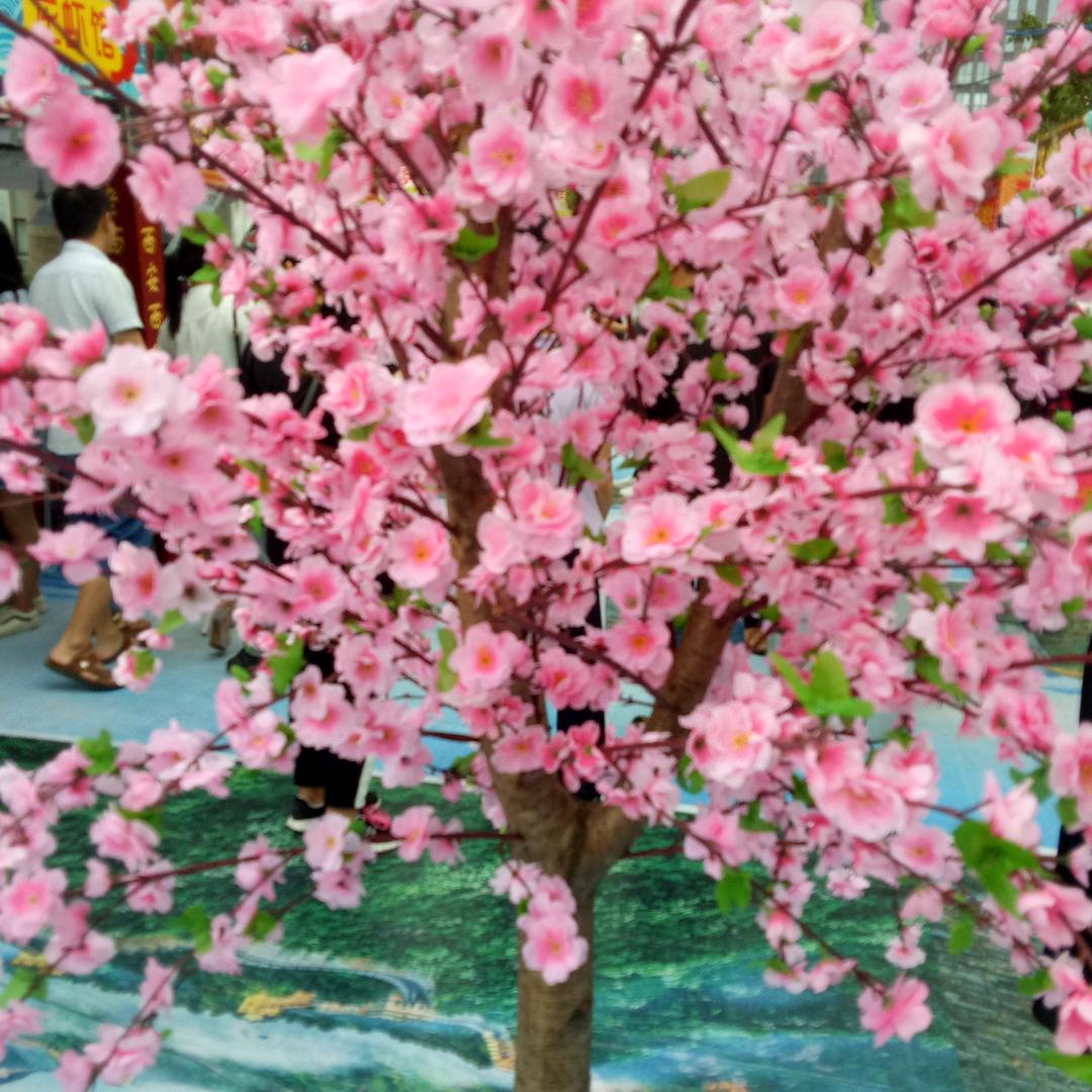 细雨蒙蒙