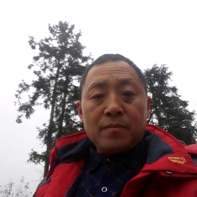 水电哥