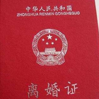 纵饮孤独