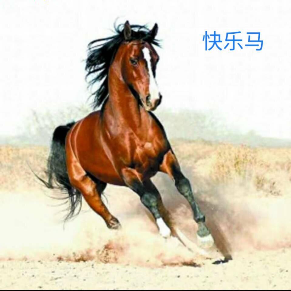 快乐马