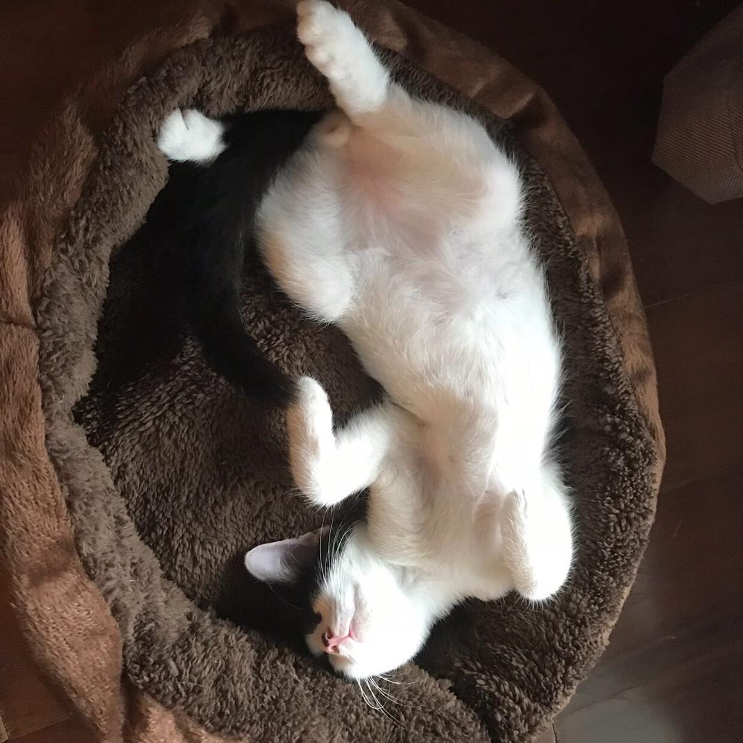 风轻云淡