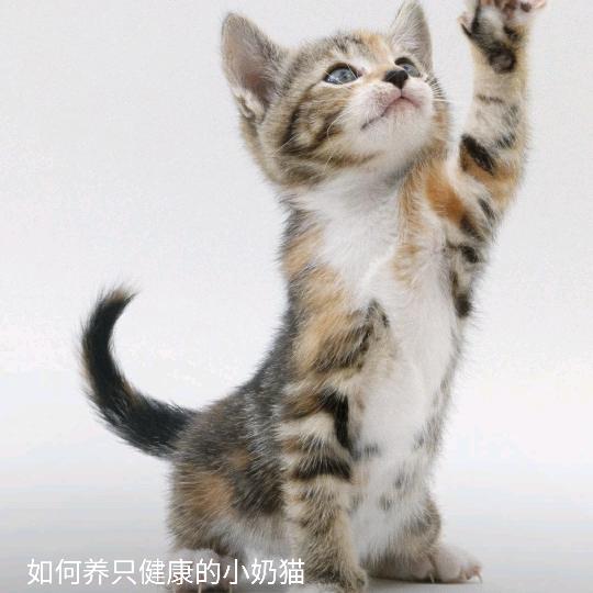 时间如沙
