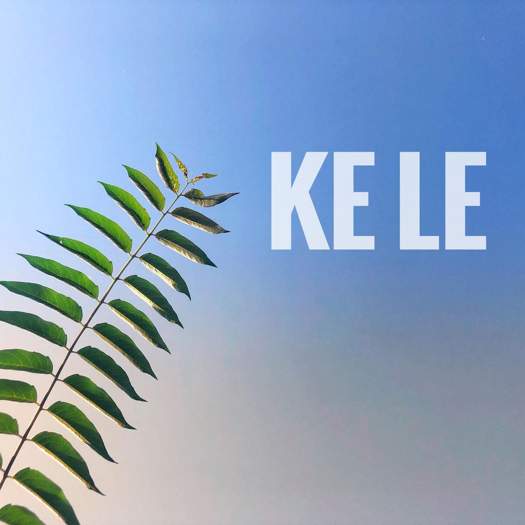 🥤可乐