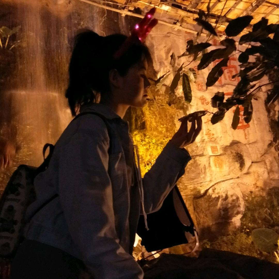 小凤
