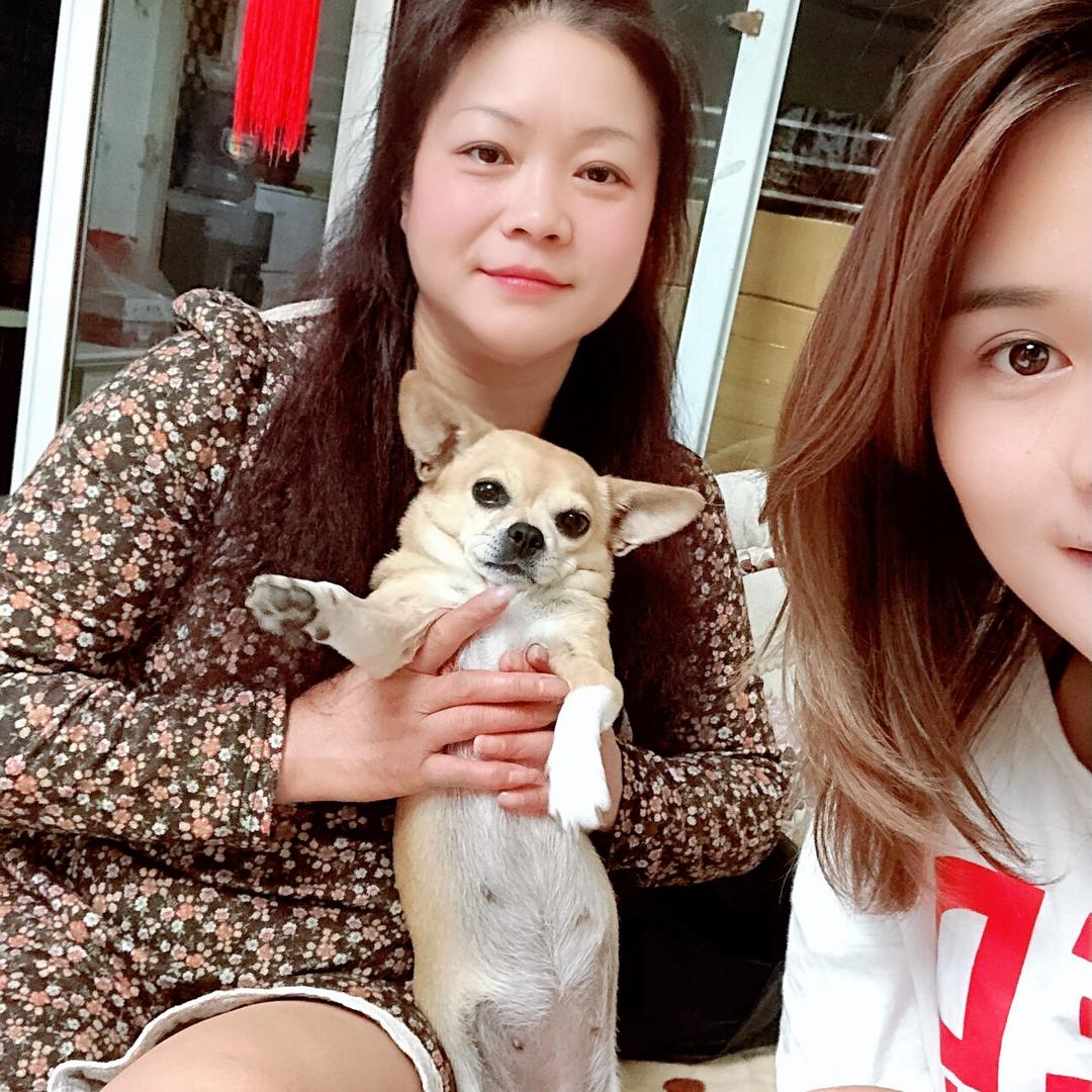 网友老阿姨