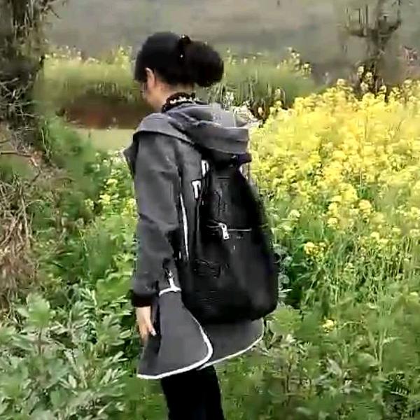 清可人