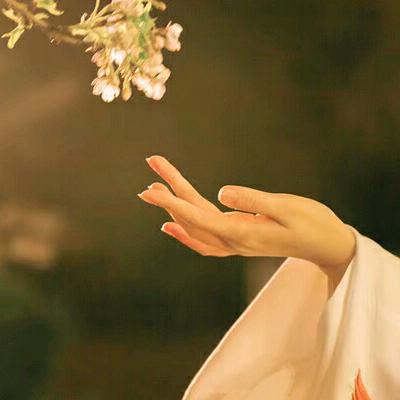 菩提花开（拒闲聊）