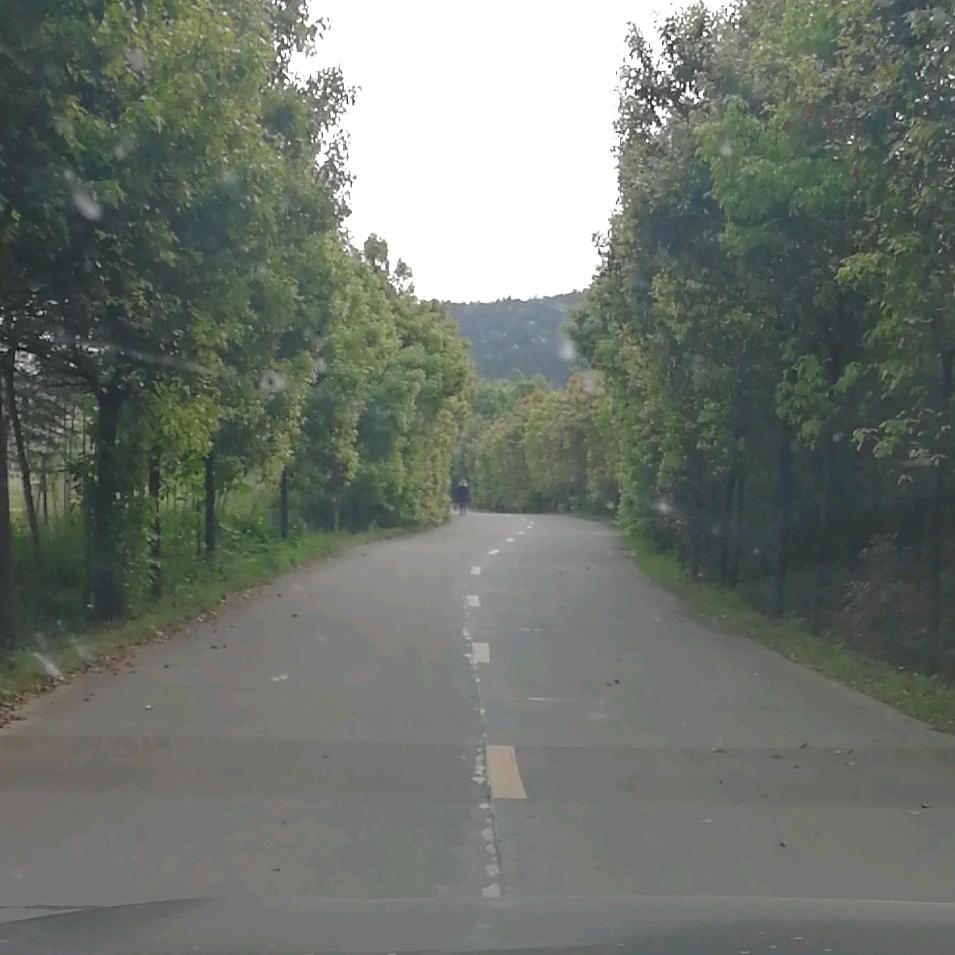 生活碎碎念