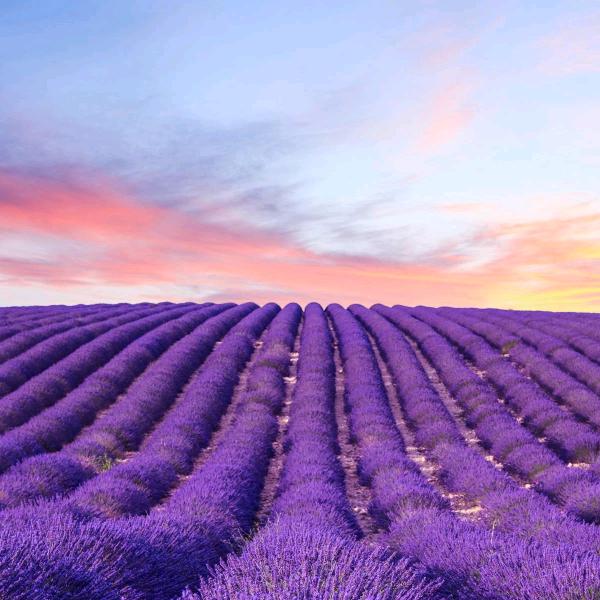 咖啡同志（赛季初的6套神）