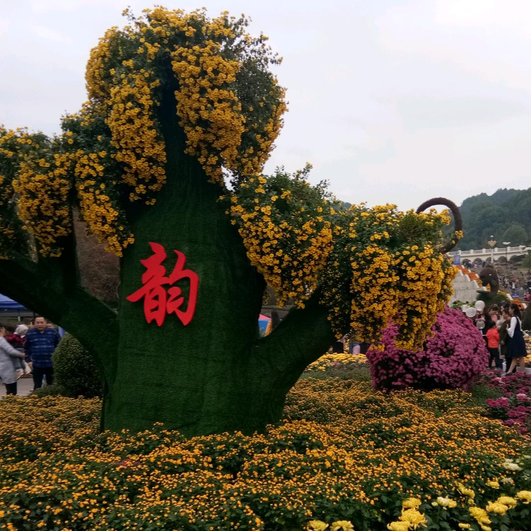 一转身就是一辈子