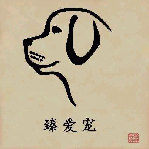 爱宠宠物猎犬