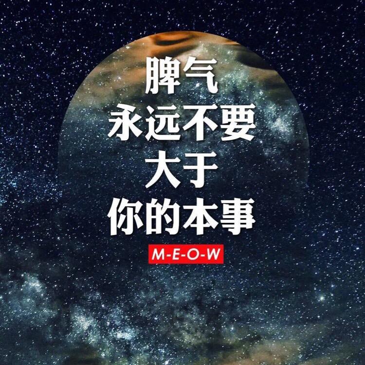 小陈的装修日常
