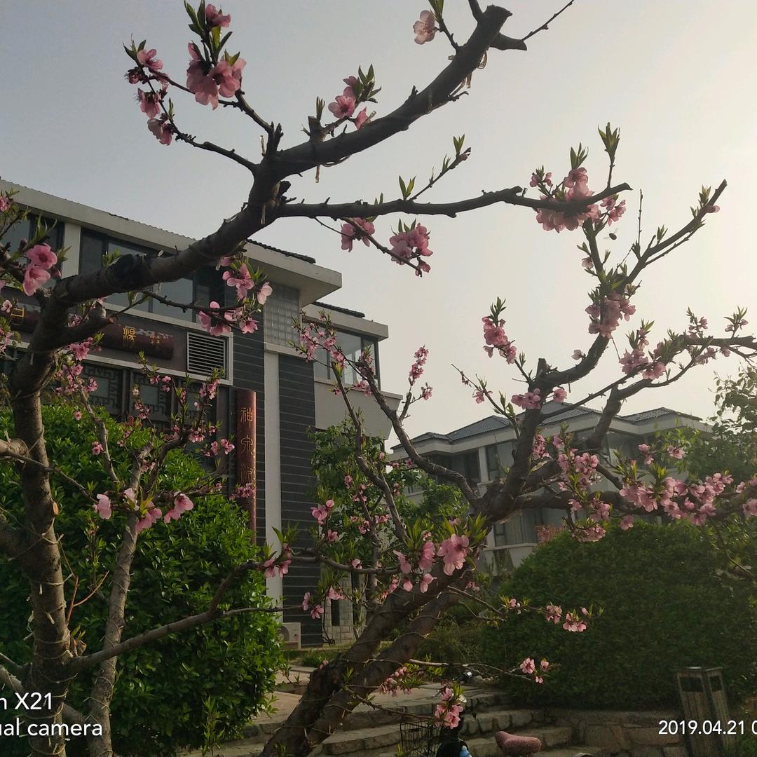 遵化市鹏龙驾校