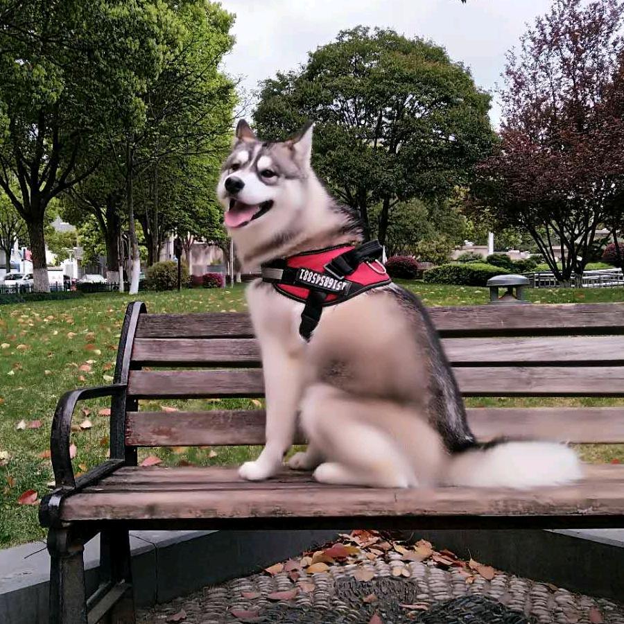 夏夏天