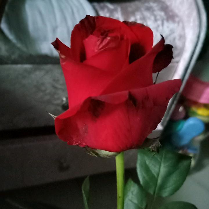 ໑ღ᭄谭何容易꧔ꦿ᭄💞