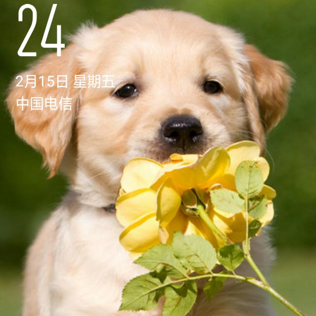王兴平