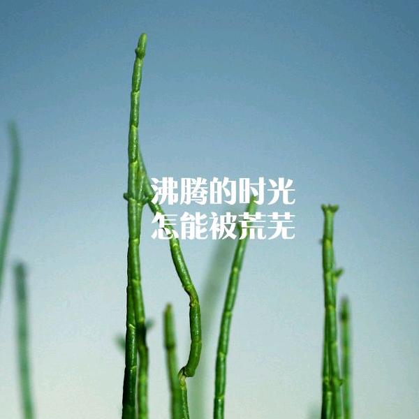 嗨洁力义乌市翠澜电子商务有限公司家居生活专卖店